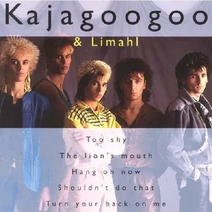 The best of Kajagoogoo & Limahl
